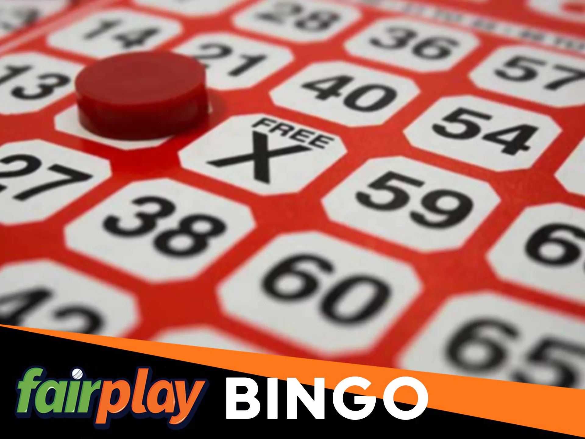 Play bingo at Fairplay.